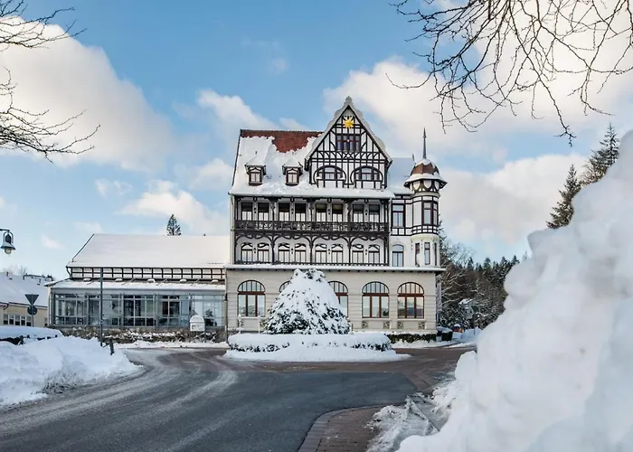 Goebel's Vital Hotel 4*